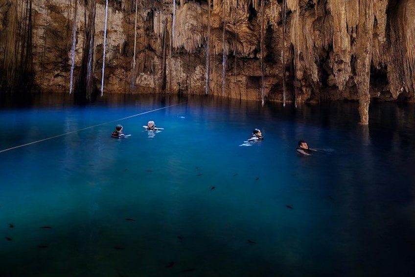 Un grupo de personas nadando en una piscina azul cristalina, con una pared rocosa en el fondo. 4
