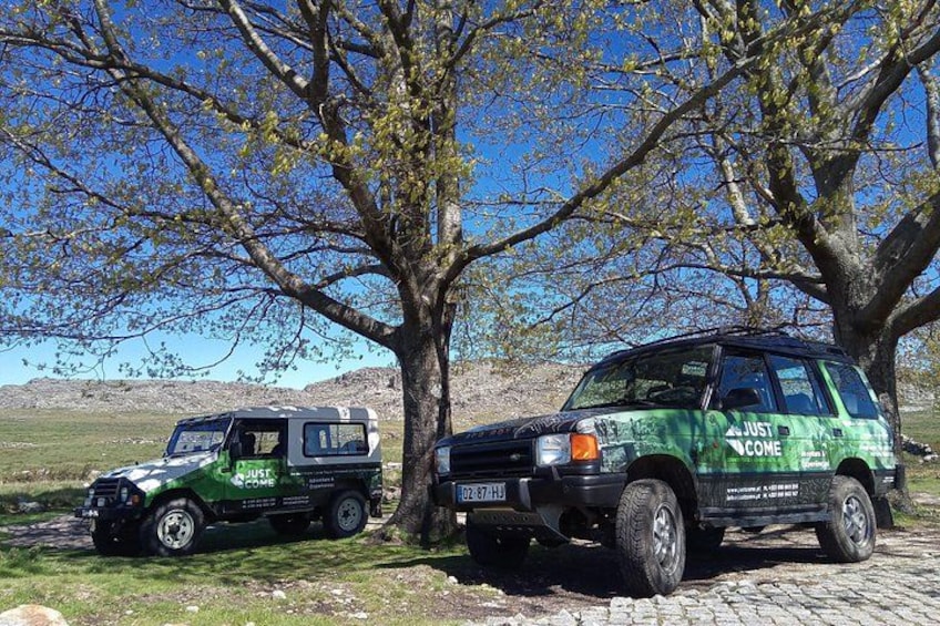 Two green vehicles parked under a tree in a rural setting. 4