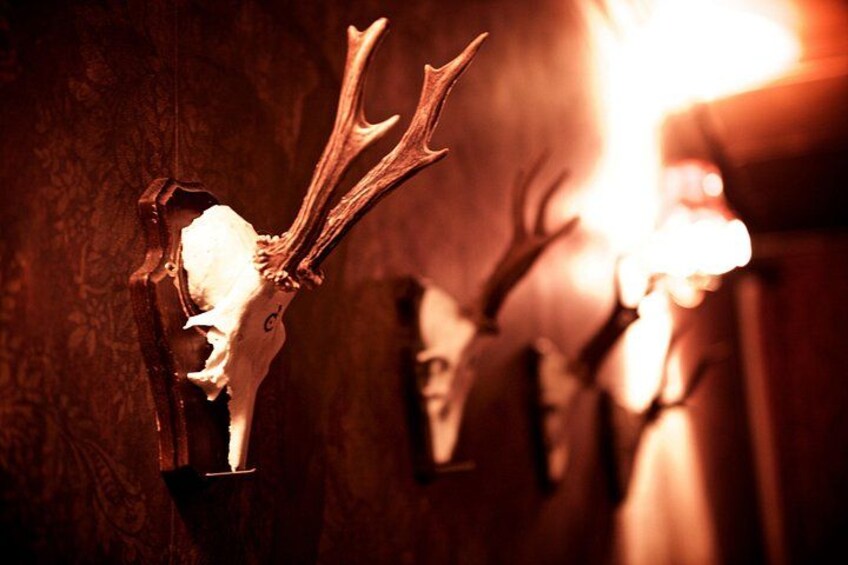 Deer skulls in the Haunted House escape room 4