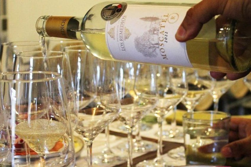 A person pouring white wine into a glass. 4