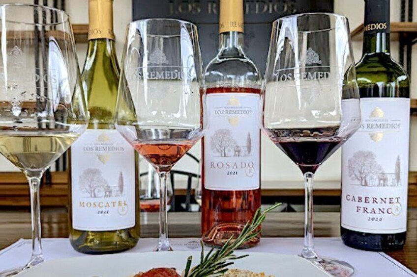 Tasting of 3 Wines with Cheese and Cold Meat Board