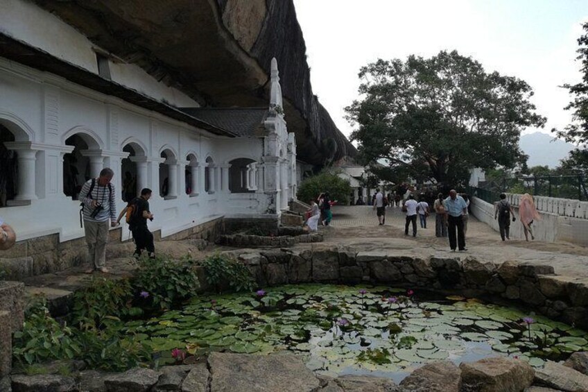 A temple with white walls and arched windows, a pond with lily pads, and a large tree in the background. 3