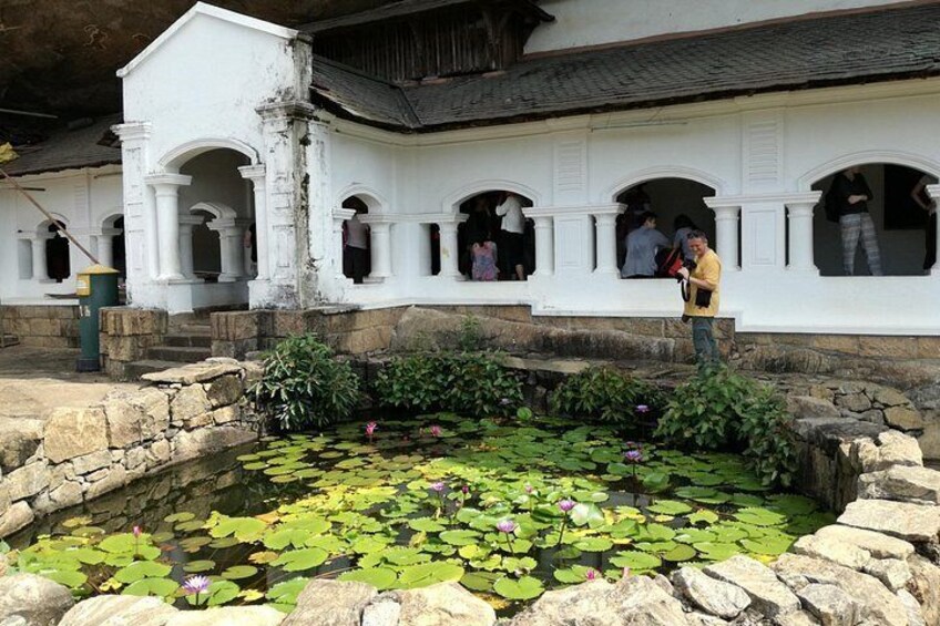 A pond with lily pads and a white building with arched windows. 4