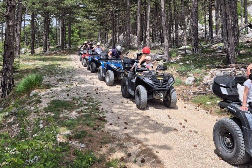 Un groupe de personnes circulant en quads sur un chemin de terre à travers une forêt. 3