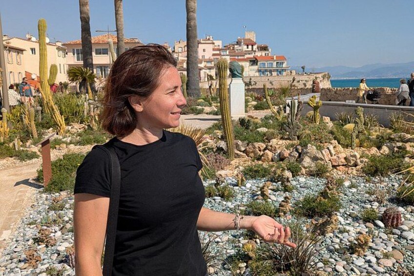 Una persona in un giardino desertico con cactus, rocce, palme e edifici sullo sfondo. 4