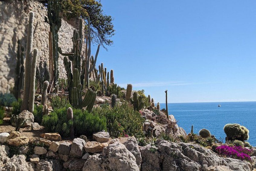 2 Hour Walking Tour in the Old Town of Antibes 3