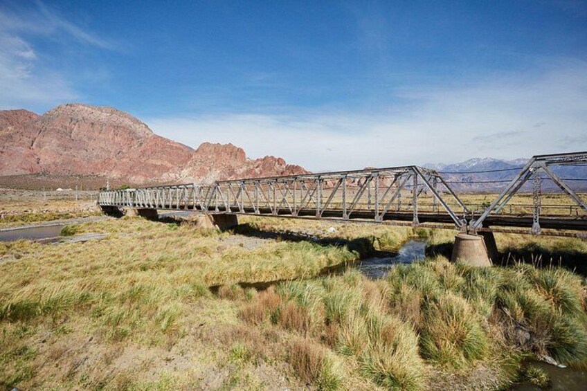 Guided Visit to High Mountains (Aconcagua-Puente del Inca) 2