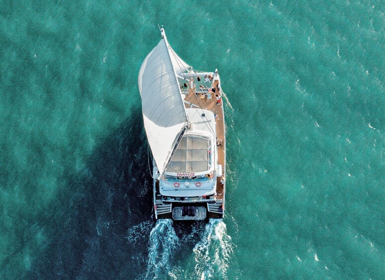 A sailboat with a white sail and a cabin, moving through clear turquoise water. 1