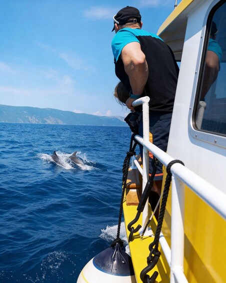 A person on a boat observing dolphins in the ocean. 2