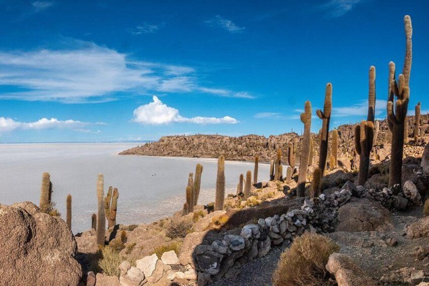 Woestijnlandschap met cactussen en een waterpartij. 5