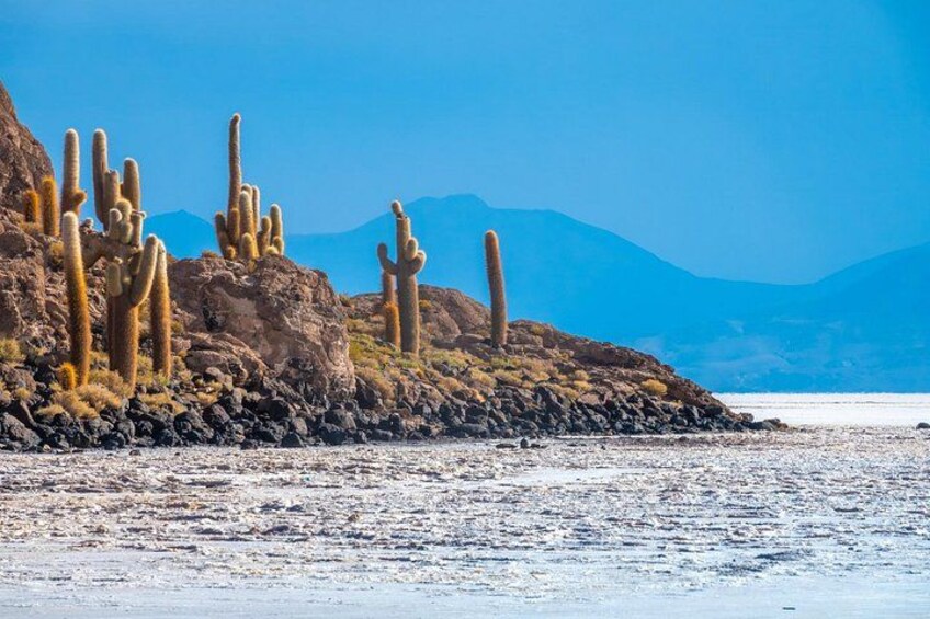 Een kustlandschap met hoge cactussen en op de achtergrond bergen. 3