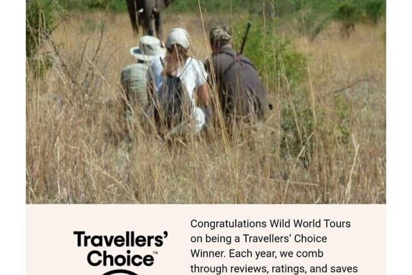 Full day Kruger National Park Tour