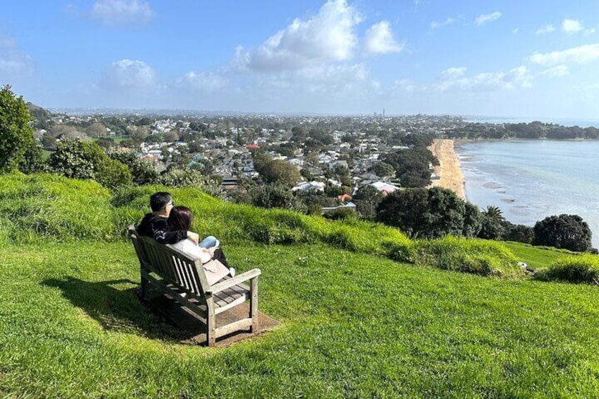 Auckland City Top Spots Half Day Tour(Small Group Tour) 2