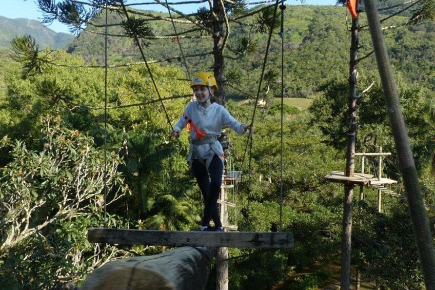 Tree climbing among the araucarias 3