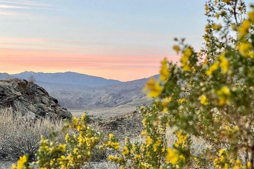 The colors on the mountain are vibrate first thing in the morning. 5