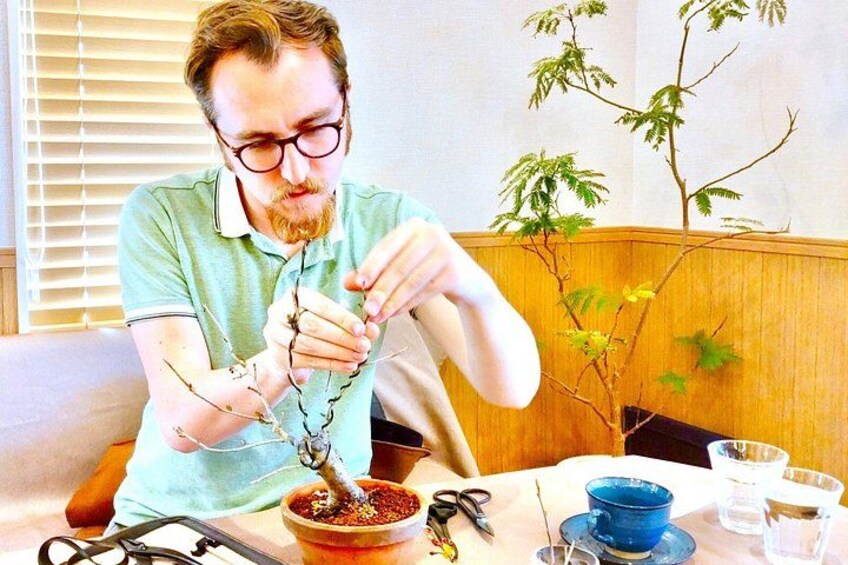Bonsai Art Tour & Experience in Japan's Most Sacred "Bonsai City" 3