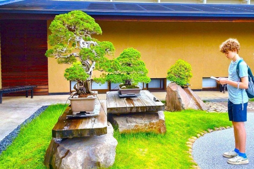 A person standing near a bonsai tree in a garden with a building in the background. 5