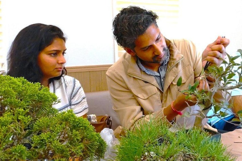 Two people examining a plant, with a small table and a window in the background. 4