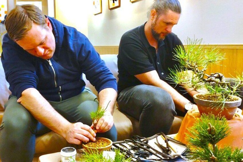 Bonsai Art Tour & Experience in Japan's Most Sacred "Bonsai City" 2