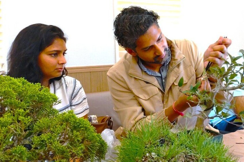Bonsai Art Tour & Experience in Japan's Most Sacred "Bonsai City" 5