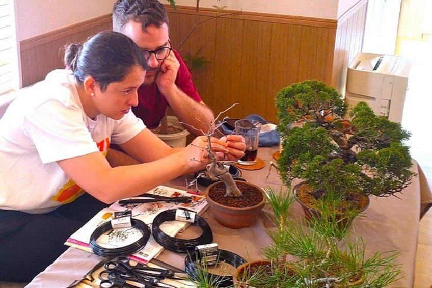 Two people working on bonsai trees, with tools and pots on a table. 2