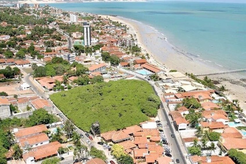 Largest Cashew Tree in the World - Pirangi Beach 2