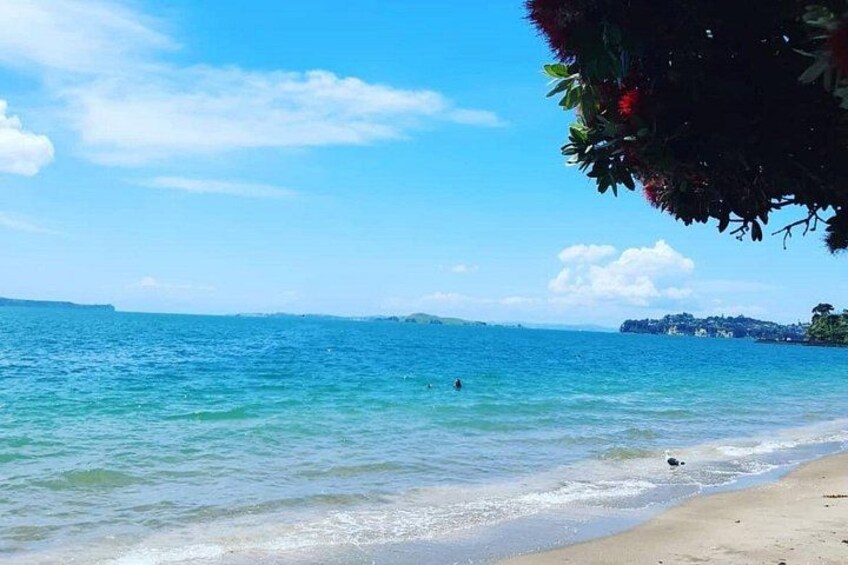 Full day Auckland Tour from Coast to City with Exclusive Pick up 4