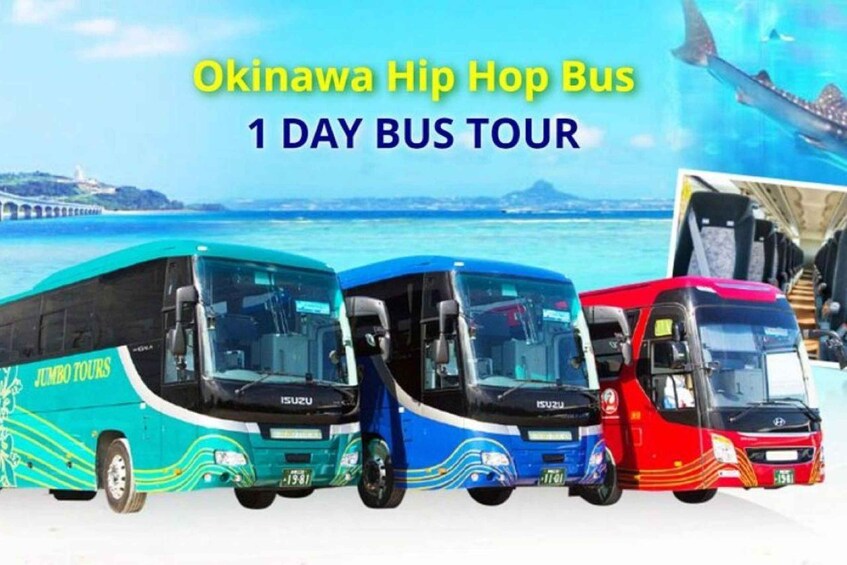 Three buses with 'Jumbo Tours' branding, a coastal background, and a bridge. 5
