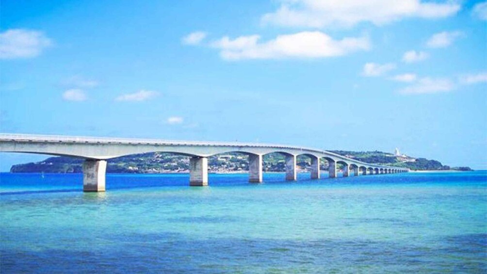 Picture 7 for Activity Okinawa: Bus Tour to Yanbaru National Park and Kouri Island 2
