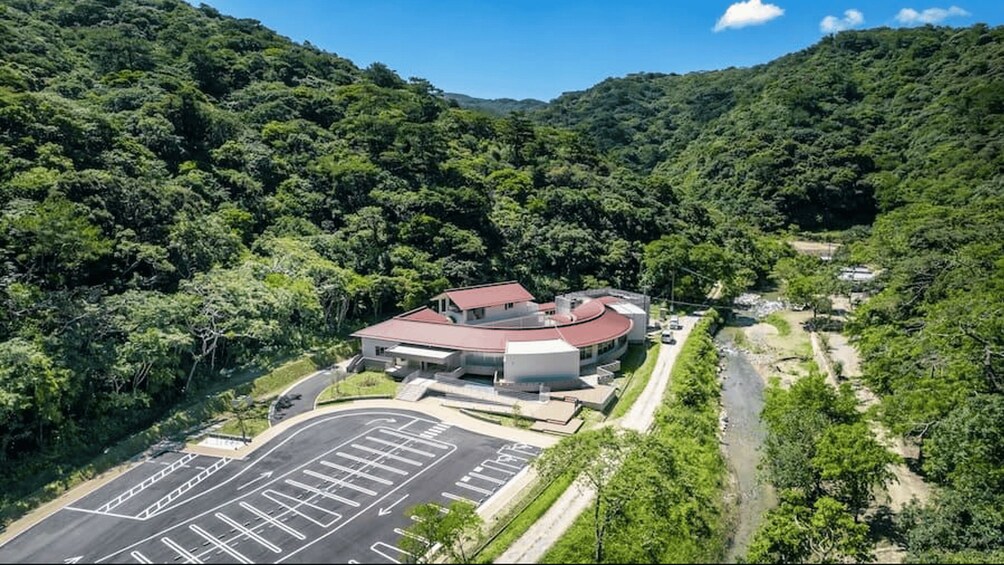 Picture 16 for Activity Okinawa: Bus Tour to Yanbaru National Park and Kouri Island 2