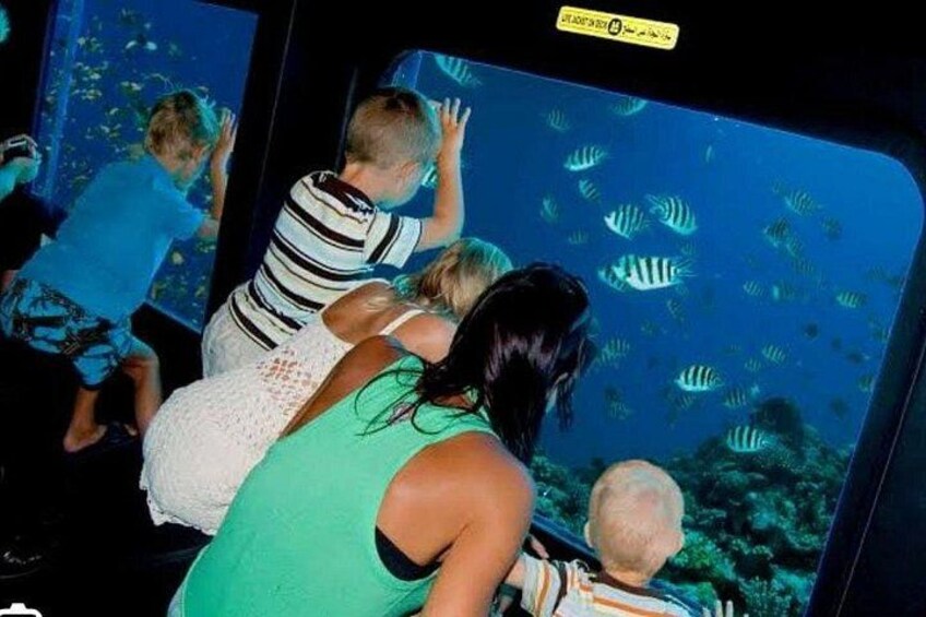 People observing fish through an aquarium window. 2