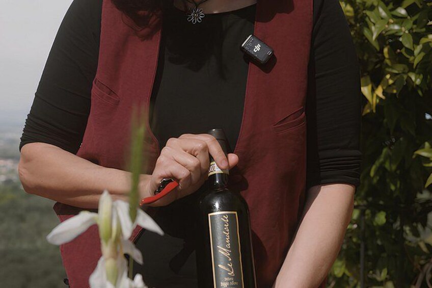 Vinci: Sunset Wine Tasting Dinner in a Tuscan Farm 2