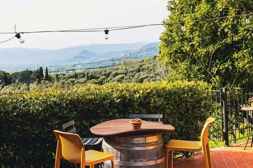 Vinci: Sunset Wine Tasting Dinner in a Tuscan Farm 2