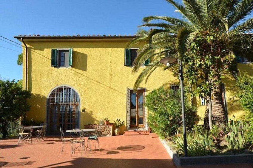 Vinci: Sunset Wine Tasting Dinner in a Tuscan Farm 4