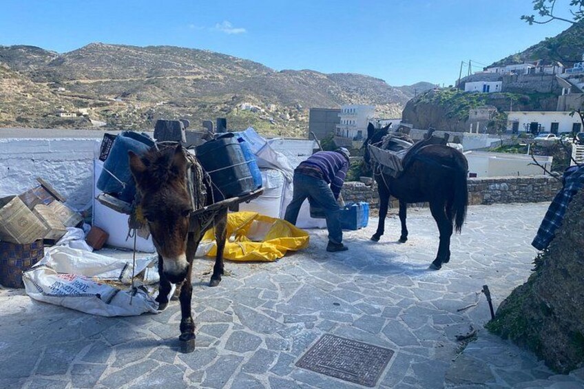 Karpathos: Traditional Olympos Tour with Driver Guide 3