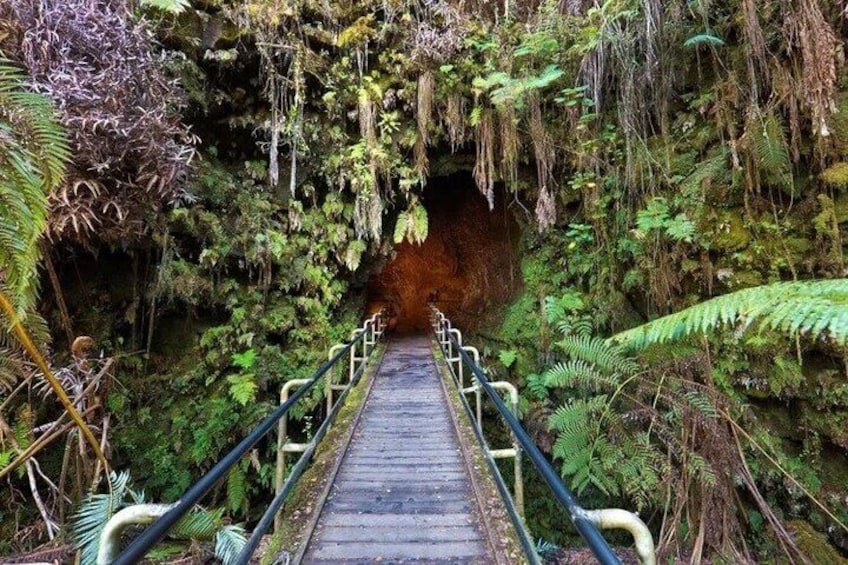 From Big island Kona Volcanoes and Waterfalls Shared Tour 4