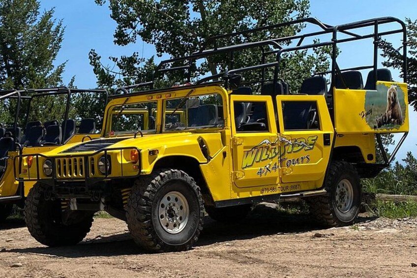 Un véhicule tout-terrain jaune, arborant le logo « Wildrise 4x4 Tours », équipé de pneus de grande taille et portant une publicité sur le côté. 3