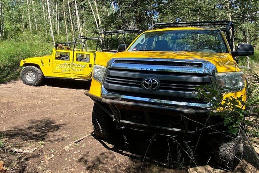 Un camionnette jaune était garée sur un chemin de terre, dans une zone boisée. 2