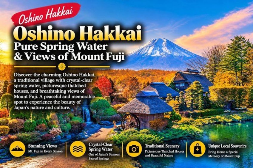 Mount Fuji Full Day Sightseeing Tour from Tokyo 1
