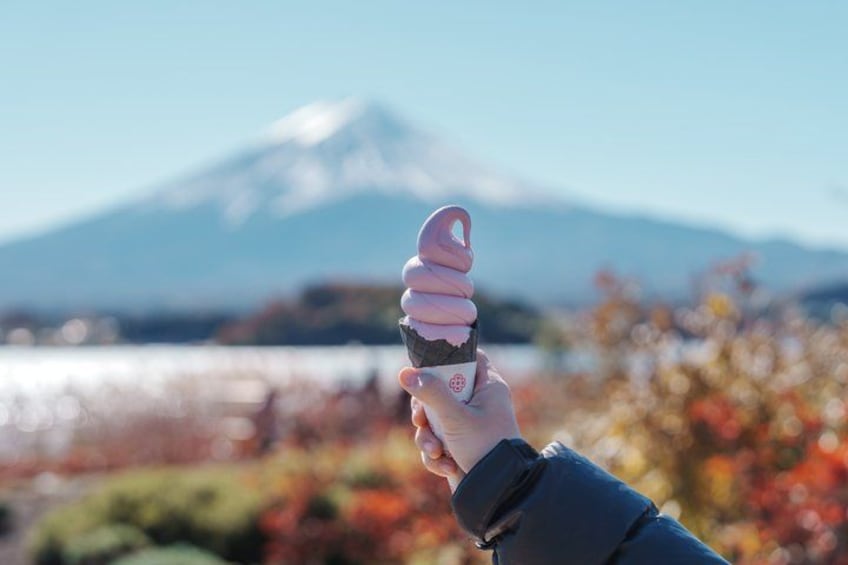 Mount Fuji Full Day Sightseeing Tour from Tokyo 2