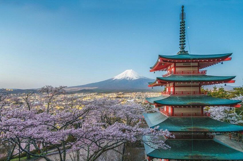 Mount Fuji Full Day Sightseeing Tour from Tokyo 3