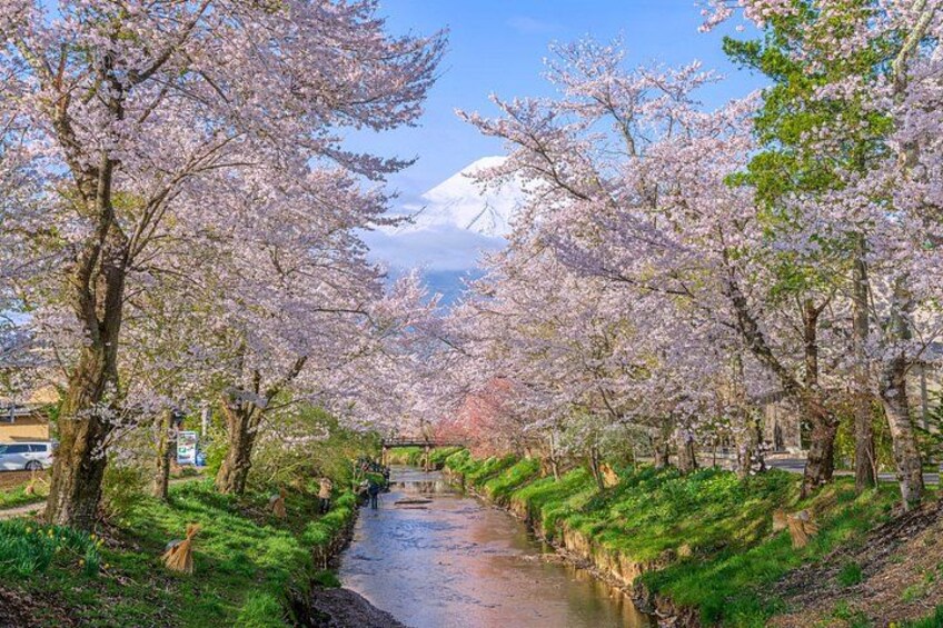 Mount Fuji Full Day Sightseeing Tour from Tokyo 2