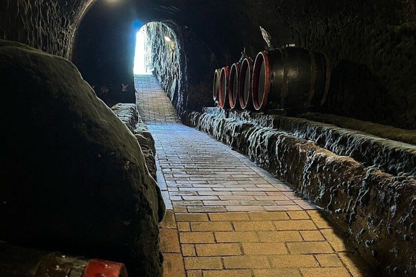 UNESCO World Heritage Wine Day Tour in Tokaj Hungary with Food 4