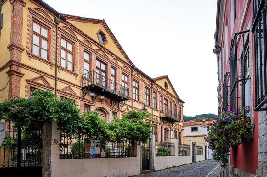 A historic building with ornate architecture, a cobblestone street, and lush greenery. 2