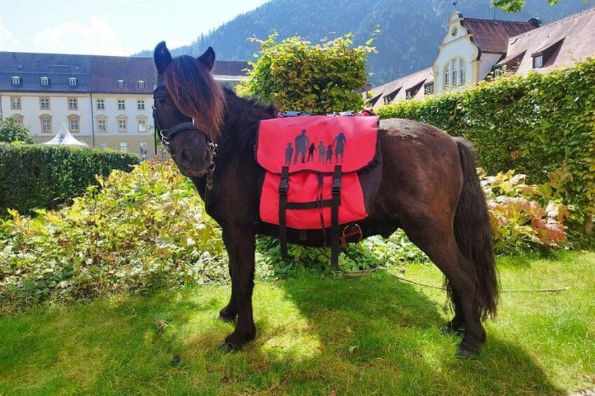 When Oskar carries the snack. 3