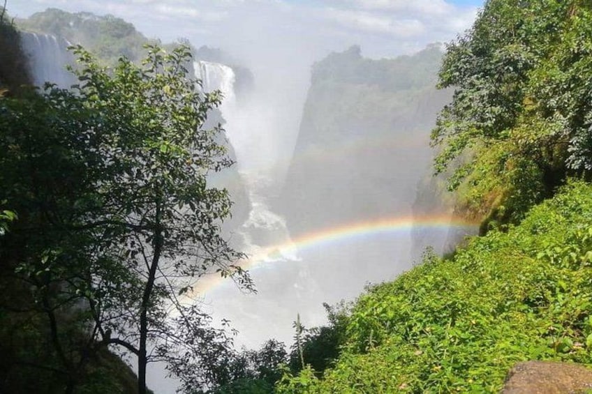 Une cascade surmontée d’un arc-en-ciel, entourée d’une végétation luxuriante. 4