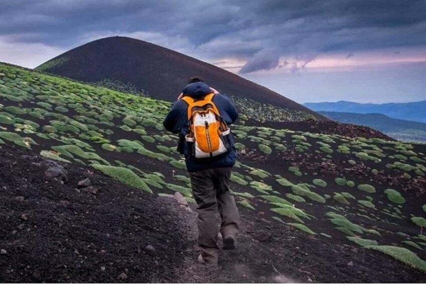 Half Day Guided Tour in Mount Etna (3000 meters) 2