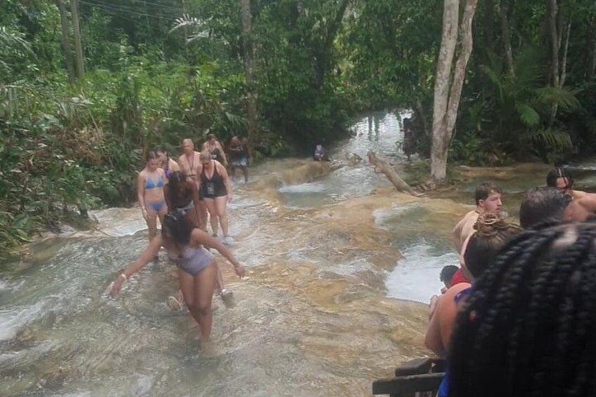 People wading through a shallow water stream in a forested area. 2