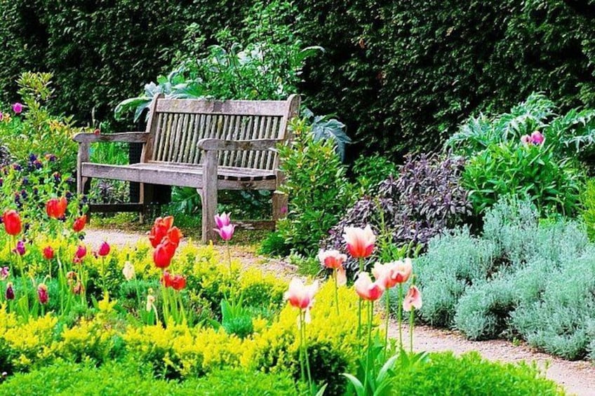 A garden with a wooden bench surrounded by various flowers and shrubs. 5