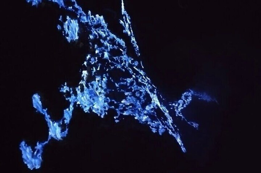 Mount Ijen Mid Night Blue Fire Guided Tour 1